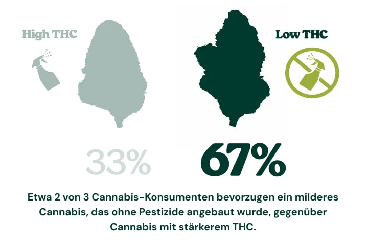 Die meisten Verbraucher bevorzugen saubereres Cannabis Infografik zeigt, dass 67 % der Cannabiskonsumenten Cannabis mit weniger THC, das ohne Pestizide angebaut wurde, stärkerem Cannabis mit höherem THC-Gehalt vorziehen würden, während 33 % sich für Cannabis mit hohem THC-Gehalt entscheiden würden.