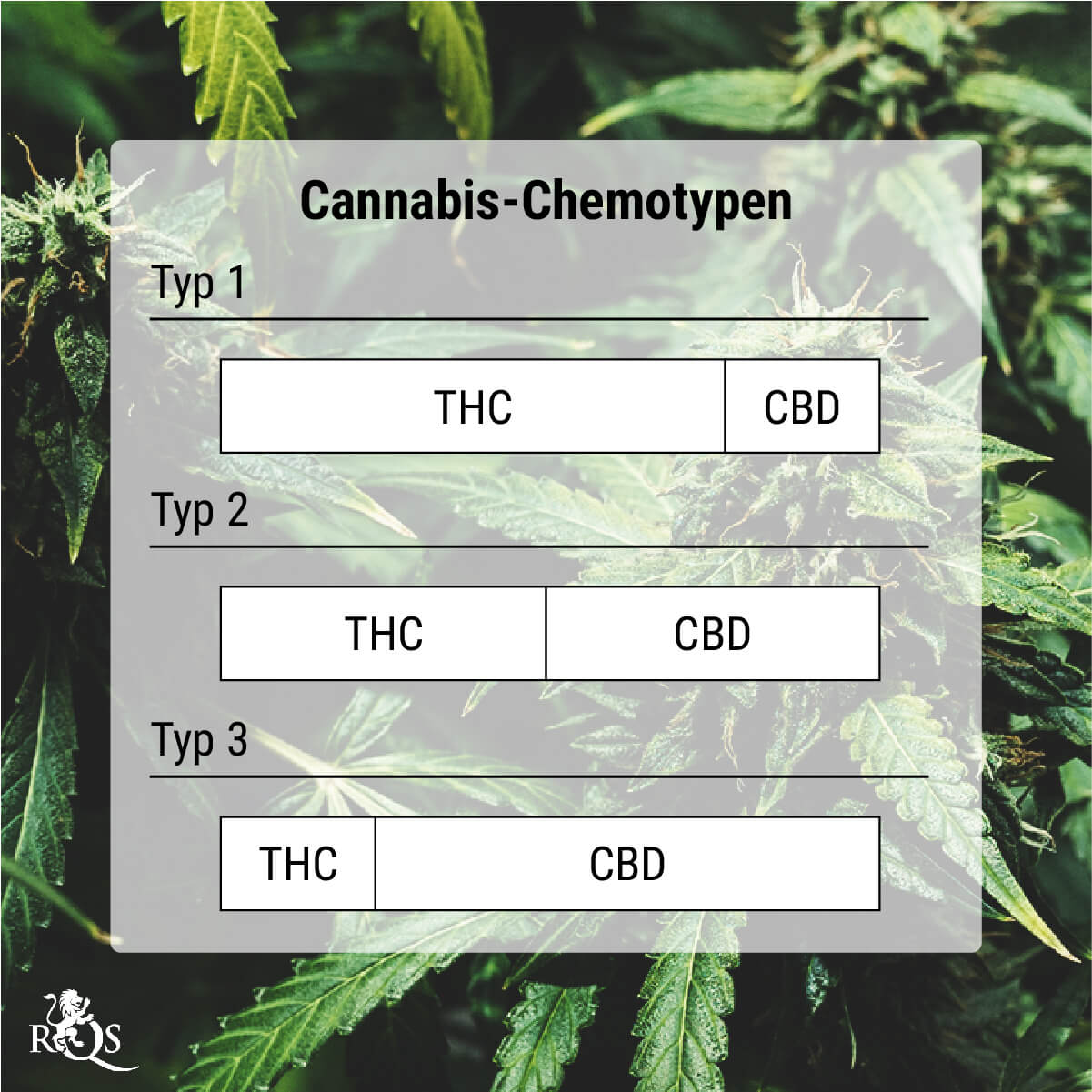 Was sind Cannabis-Chemotypen?