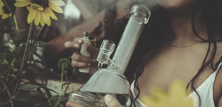 Alle Verwendungsmöglichkeiten für Cannabis Alle Verwendungsmöglichkeiten für Cannabis