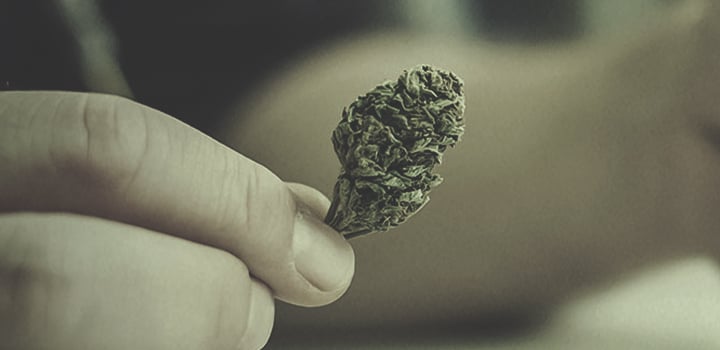 Alle Verwendungsmöglichkeiten für Cannabis Alle Verwendungsmöglichkeiten für Cannabis
