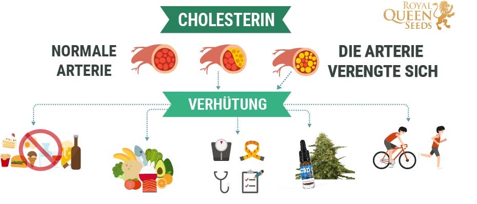 Cholesterin und Cannabis