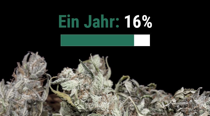 Wie lange ist Weed haltbar?