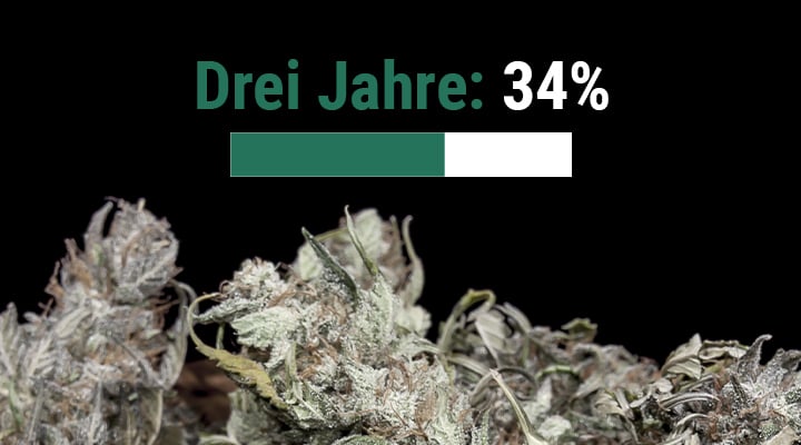 Wie lange ist Weed haltbar?