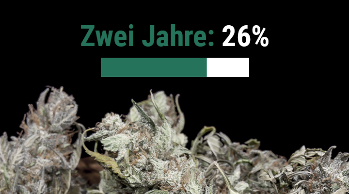 Wie lange ist Weed haltbar?