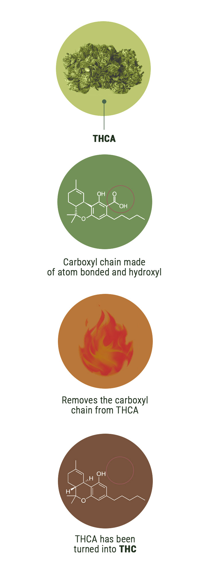 Was ist der Unterschied zwischen THCV und THC? Was ist der Unterschied zwischen THCV und THC?