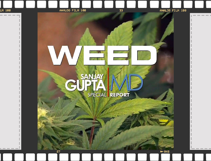 Dokumentationen Über Cannabis Dokumentationen Über Cannabis