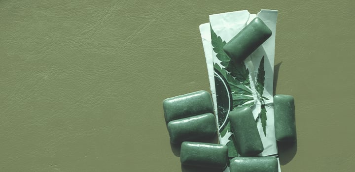 Alle Verwendungsmöglichkeiten für Cannabis Alle Verwendungsmöglichkeiten für Cannabis