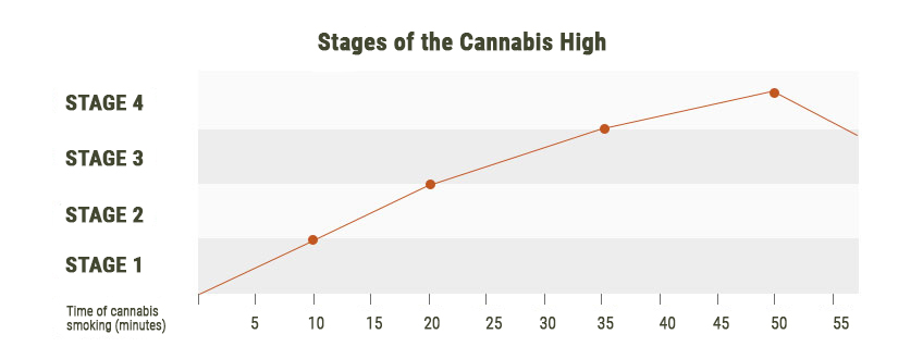 Stufen des Cannabis-Highs Stufen des Cannabis-Highs