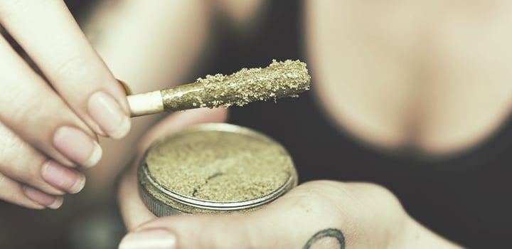 Alle Verwendungsmöglichkeiten für Cannabis Alle Verwendungsmöglichkeiten für Cannabis