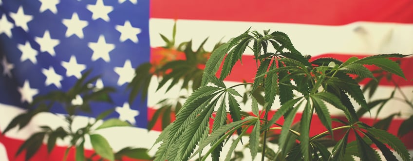 Warum blickt die Cannabiswelt auf die Vereinigten Staaten?
