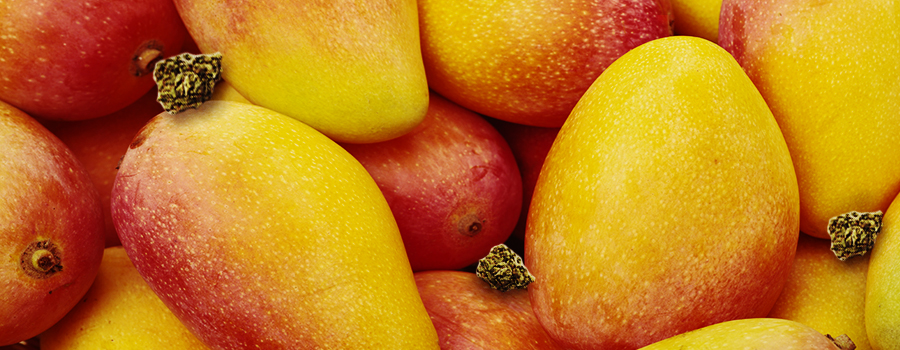 Essen Sie Mangos, um die Essanfälle zu vermeiden. Essen Sie Mangos, um die Essanfälle zu vermeiden.