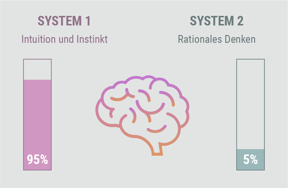 Wie das Gedächtnis funktioniert