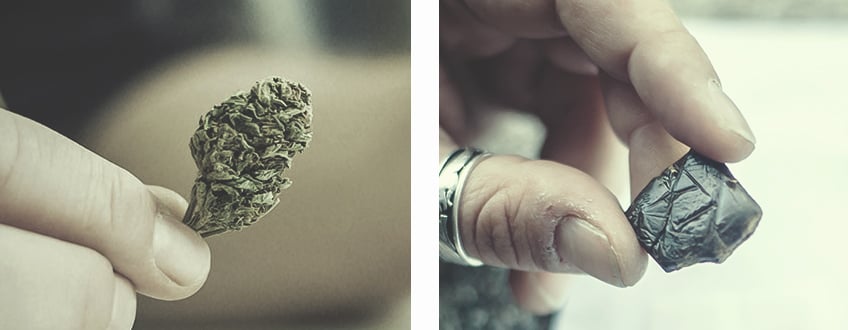 Alle Verwendungsmöglichkeiten für Cannabis Alle Verwendungsmöglichkeiten für Cannabis