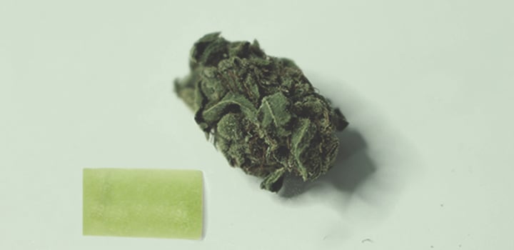 Alle Verwendungsmöglichkeiten für Cannabis Alle Verwendungsmöglichkeiten für Cannabis