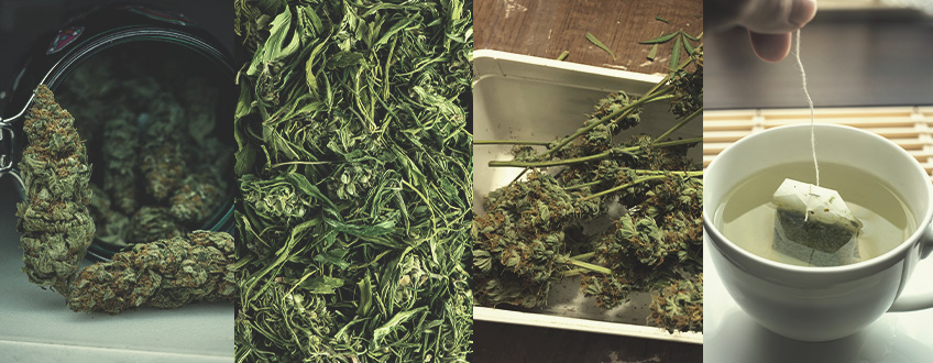 Arten von Cannabis-Tee Arten von Cannabis-Tee