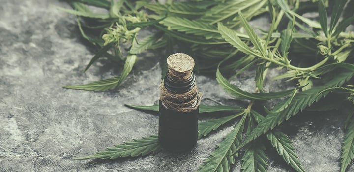 Alle Verwendungsmöglichkeiten für Cannabis Alle Verwendungsmöglichkeiten für Cannabis