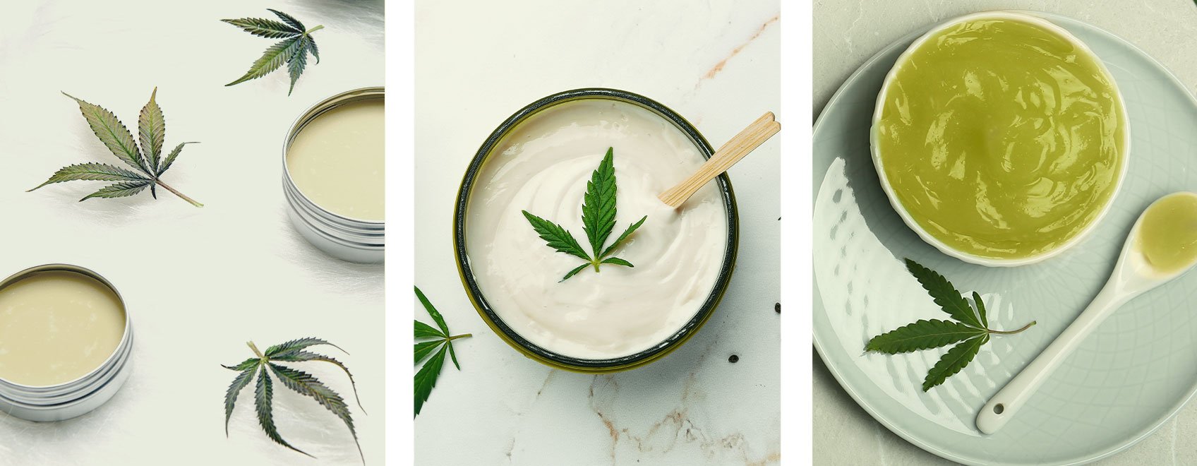 Wie unterscheidet sich eine Cannabissalbe von anderen Lotionen und Cremes?