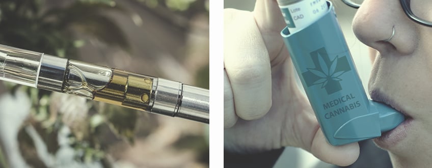 Alle Verwendungsmöglichkeiten für Cannabis Alle Verwendungsmöglichkeiten für Cannabis