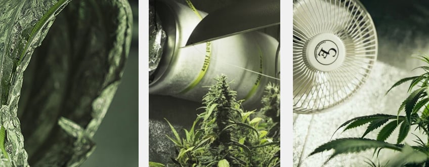 Essenzielle Geräte für einen besser belüfteten Grow Room Essenzielle Geräte für einen besser belüfteten Grow Room