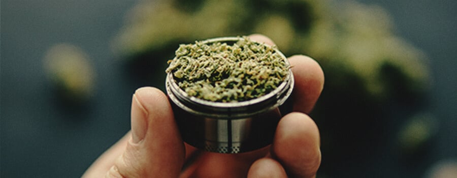 Wie bereite ich CBD zu Hause vor? Wie bereite ich CBD zu Hause vor?