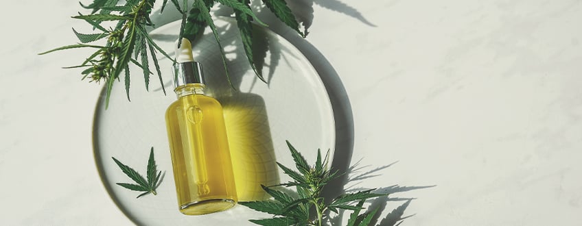 Was sollte man über die verschiedenen Arten von CBD-Produkten wissen?