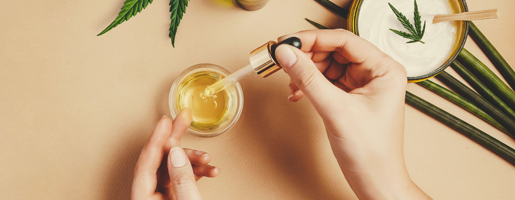 Wie man CBD-Öl aus medizinischen Cannabissamen herstellt Wie man CBD-Öl aus medizinischen Cannabissamen herstellt