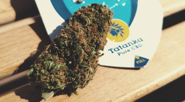 Welche Arten von CBD-Produkten sind erhältlich? Welche Arten von CBD-Produkten sind erhältlich?