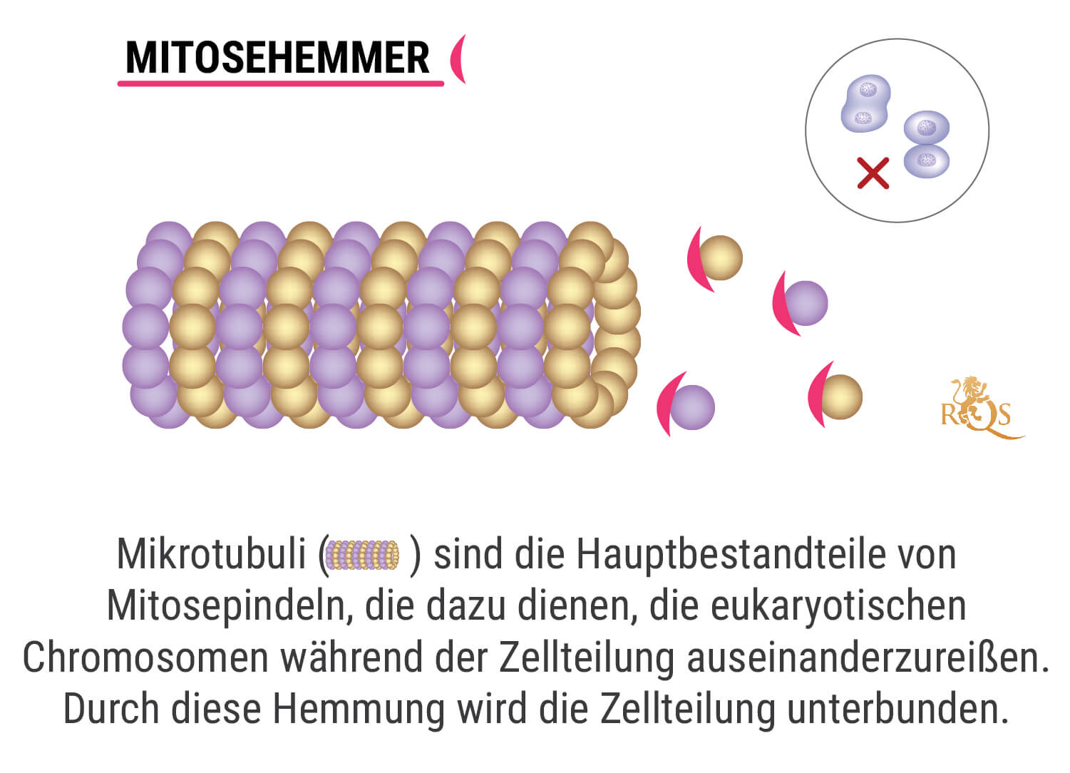 Was ist Chemotherapie?