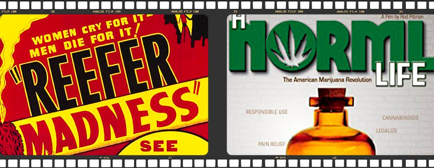 Dokumentationen Über Cannabis