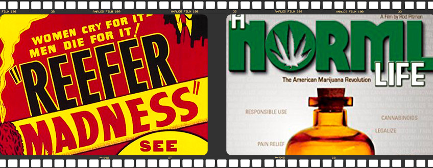 Dokumentationen Über Cannabis Dokumentationen Über Cannabis