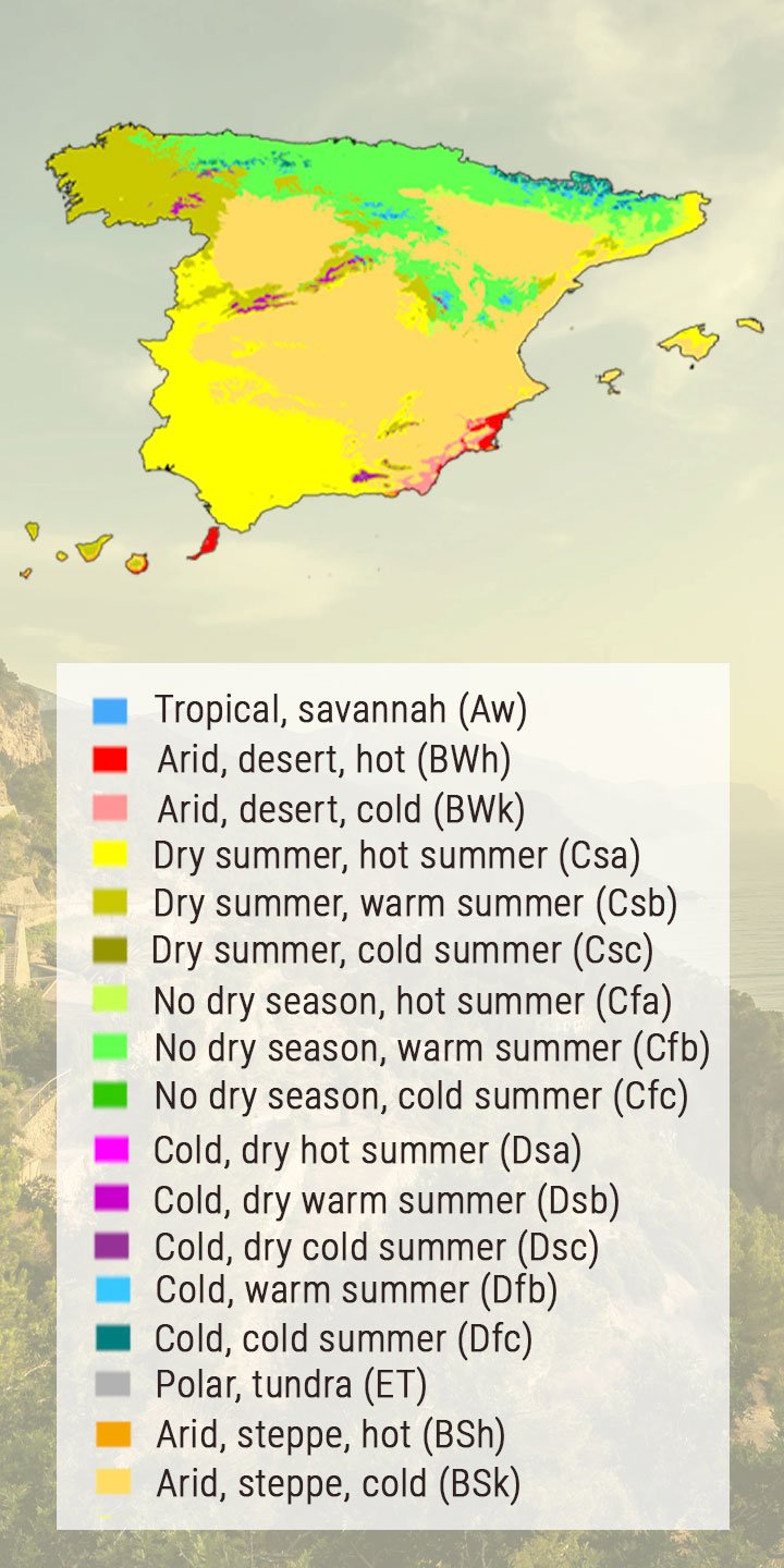 A GUIDE ON GROWING CANNABIS OUTDOORS IN SPAIN