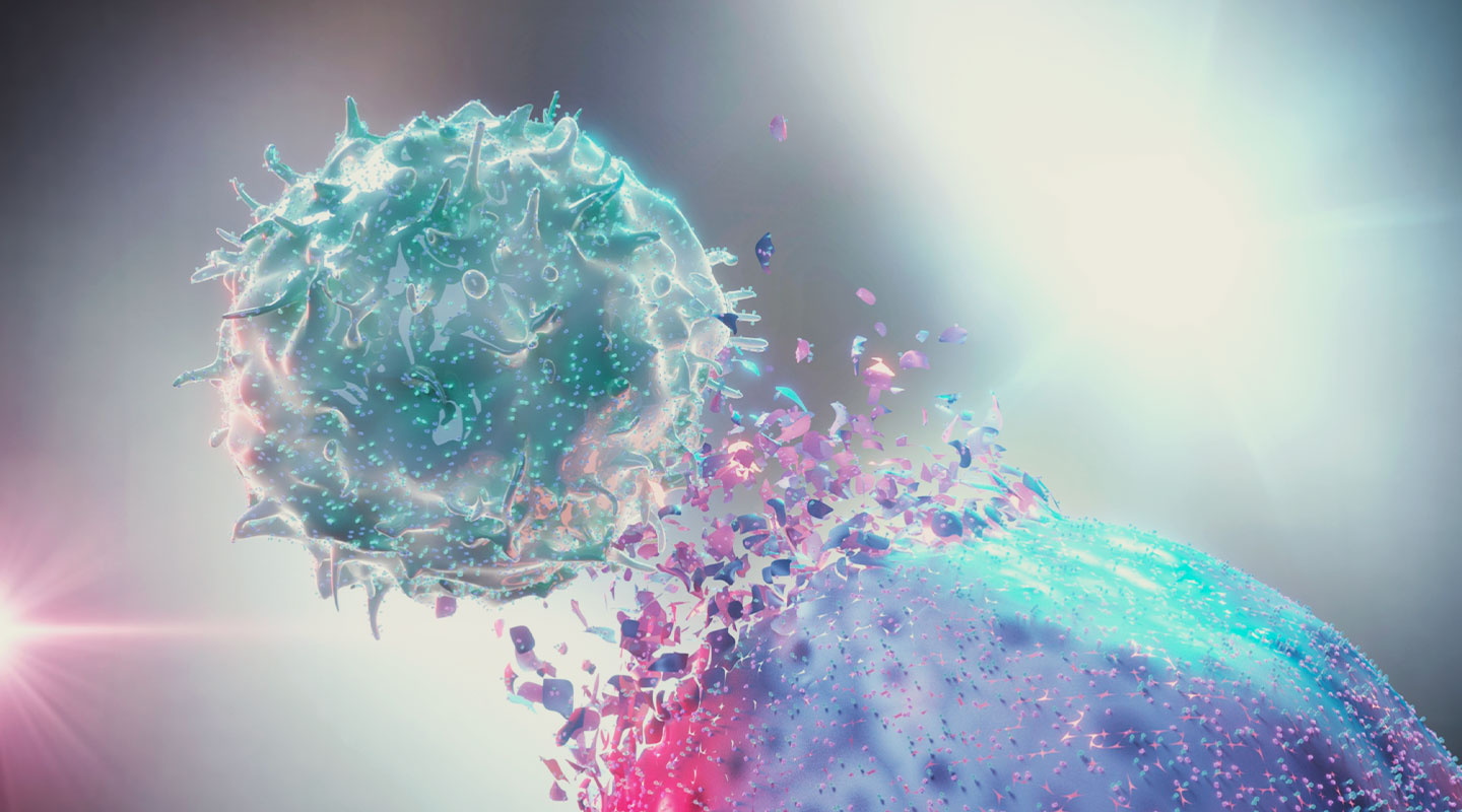 Die Rolle des Endocannabinoid-Systems für die Immunität Die Rolle des Endocannabinoid-Systems für die Immunität