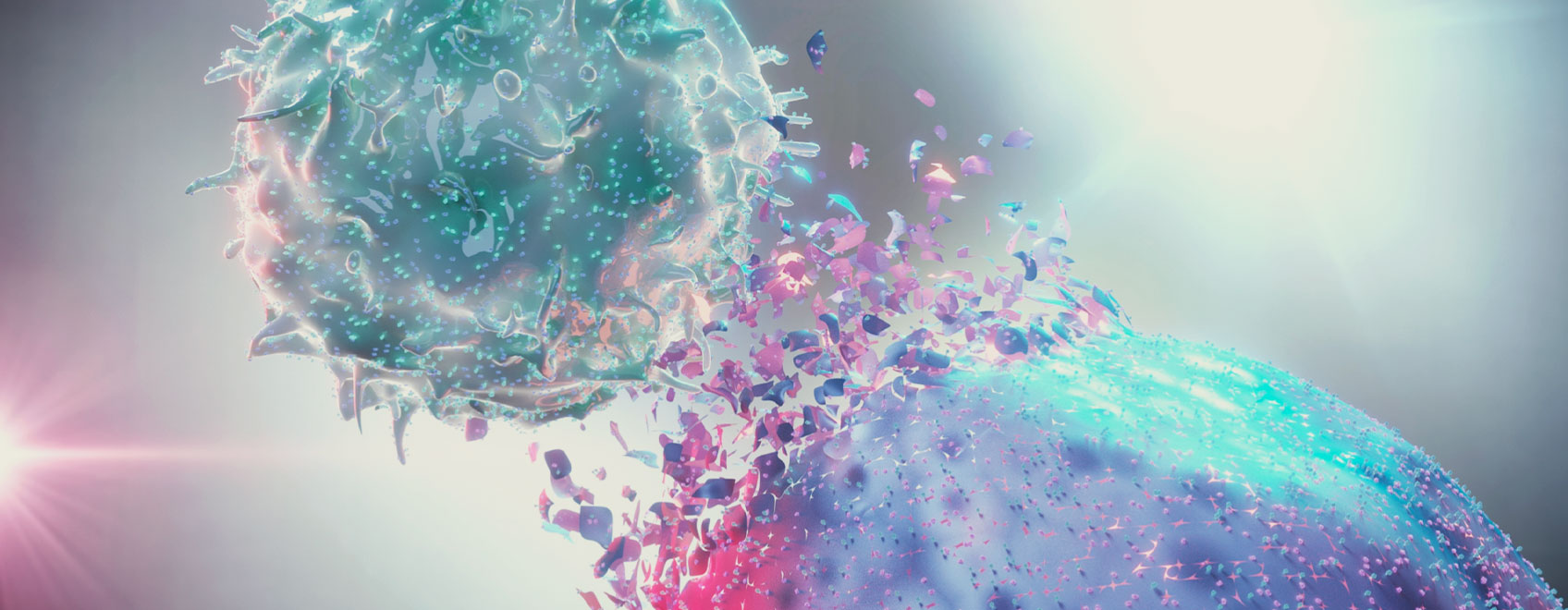 Die Rolle des Endocannabinoid-Systems für die Immunität Die Rolle des Endocannabinoid-Systems für die Immunität