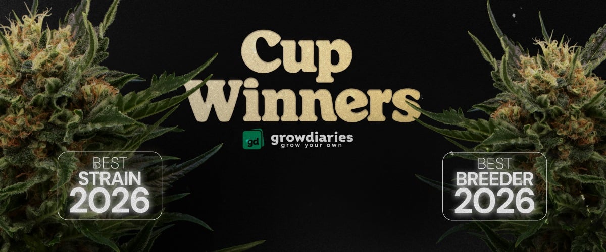 Cup Winners 2026 Cannabis-Awards Banner mit bester Sorte und bestem Breeder, Cannabisblüten und GrowDiaries-Logo