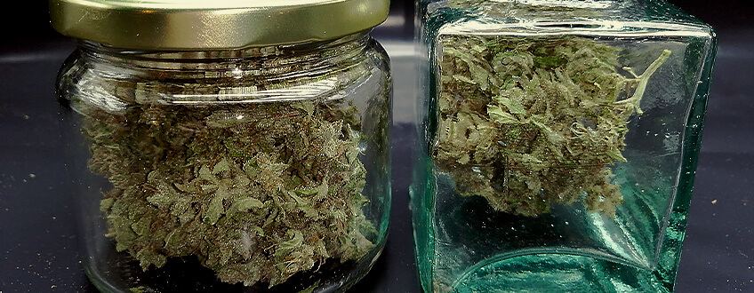 HÄRTE DEIN CANNABIS AUS, DAMIT ES GESCHMEIDIGER WIRD HÄRTE DEIN CANNABIS AUS, DAMIT ES GESCHMEIDIGER WIRD
