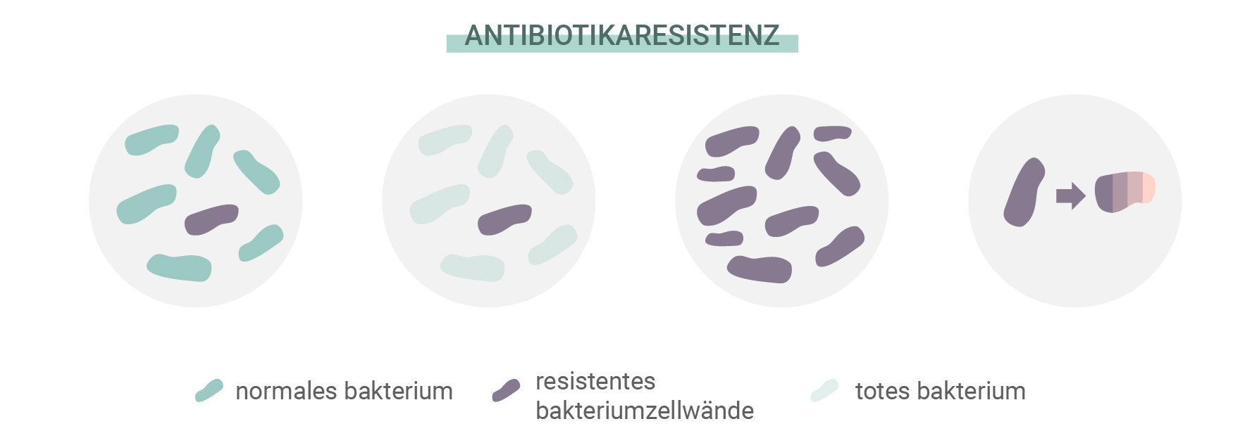 Was ist eine Antibiotikaresistenz?
