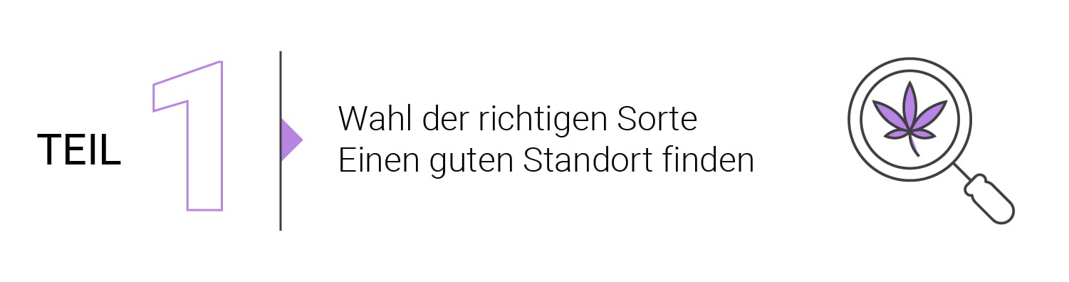 Die Grundlagen des Outdoor-Anbaus (Teil 2)