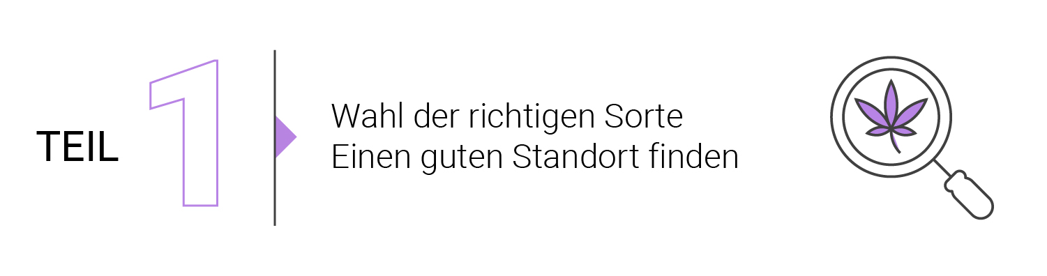 Die Grundlagen des Outdoor-Anbaus (Teil 4) 