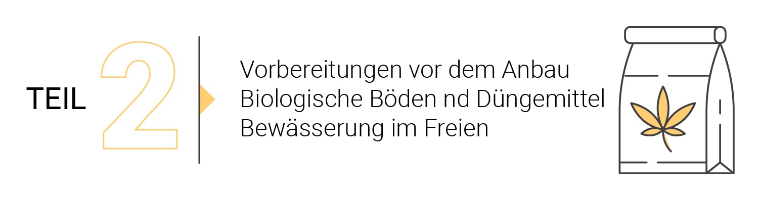 Die Grundlagen des Outdoor-Anbaus (Teil 1)