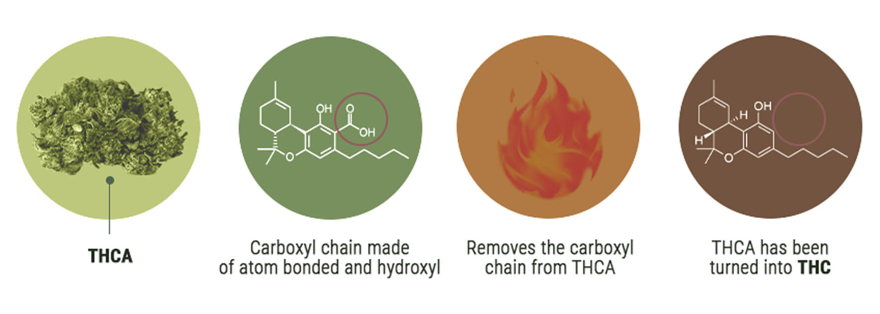 Was ist der Unterschied zwischen THCV und THC?