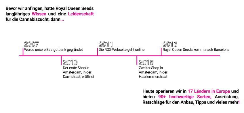 RQS Storyline RQS Storyline