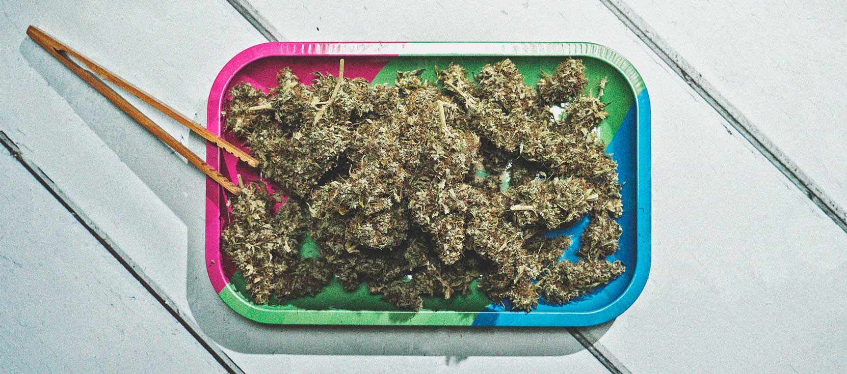 Wie man Cannabis mit dichten Blüten anbaut