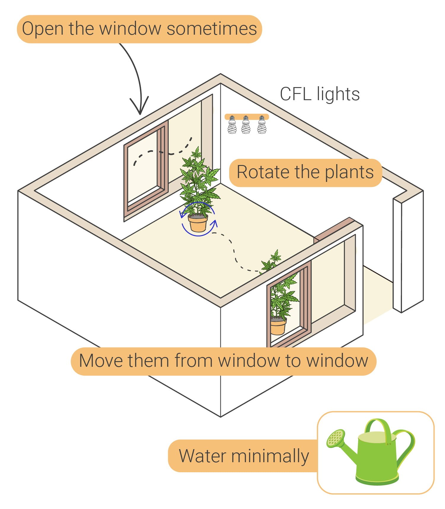 Wie man Cannabis indoor ohne Lampen anbaut Wie man Cannabis indoor ohne Lampen anbaut