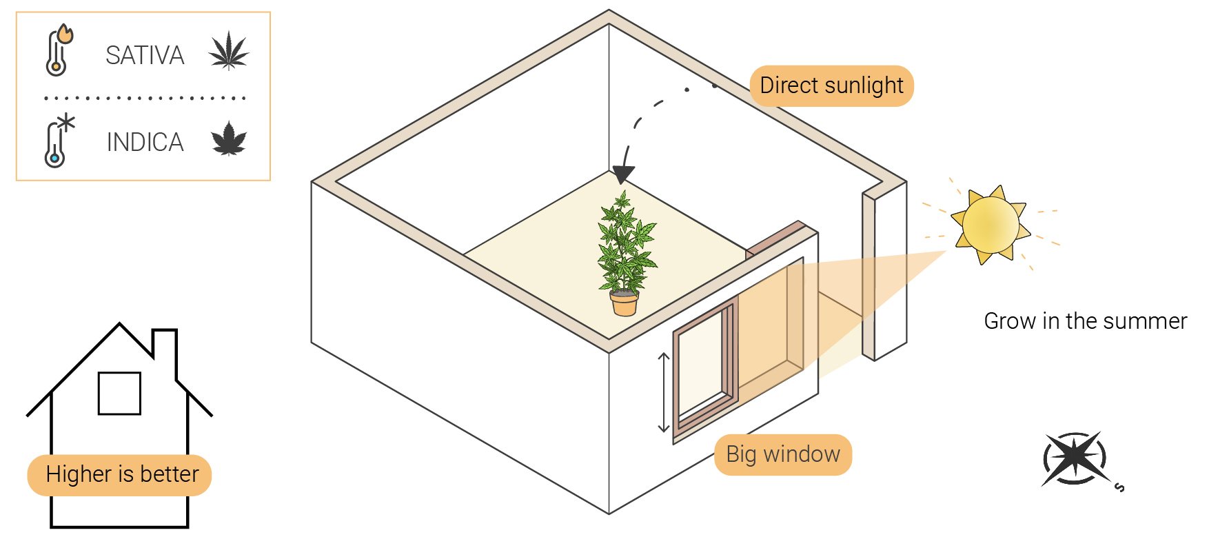 Wie man Cannabis indoor ohne Lampen anbaut Wie man Cannabis indoor ohne Lampen anbaut