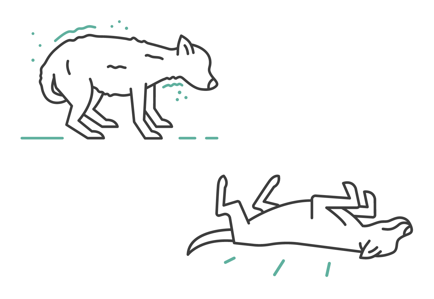 What to Do if Your Dog Gets High What to Do if Your Dog Gets High