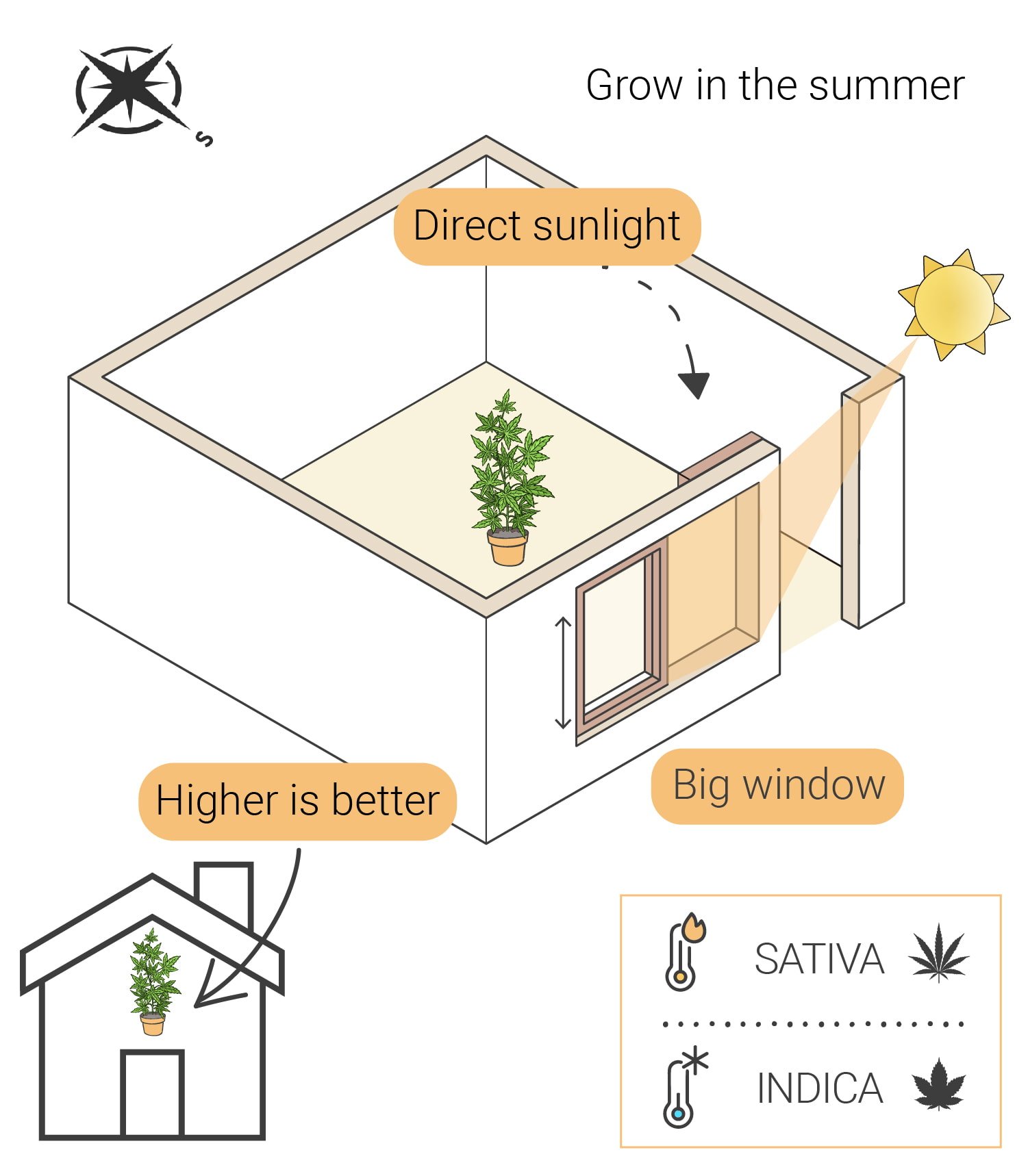 Wie man Cannabis indoor ohne Lampen anbaut