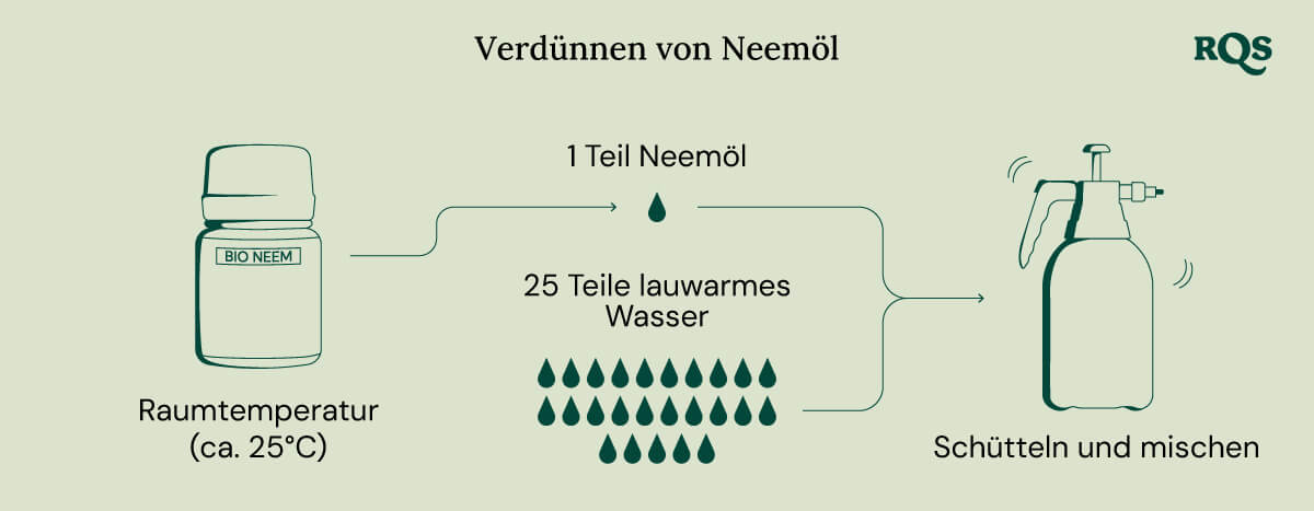 Diluting neem oil