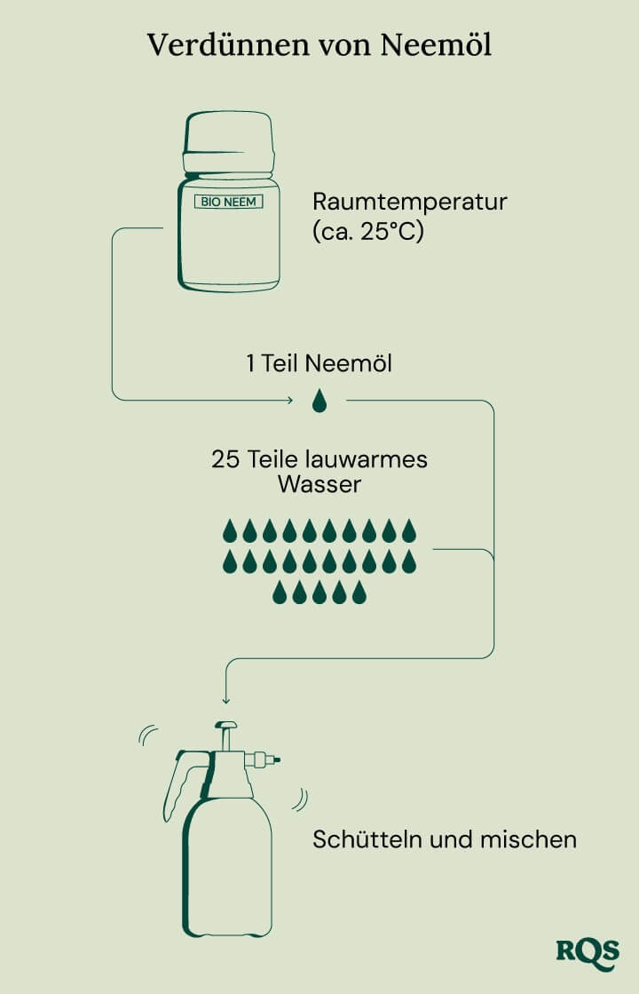 Diluting neem oil