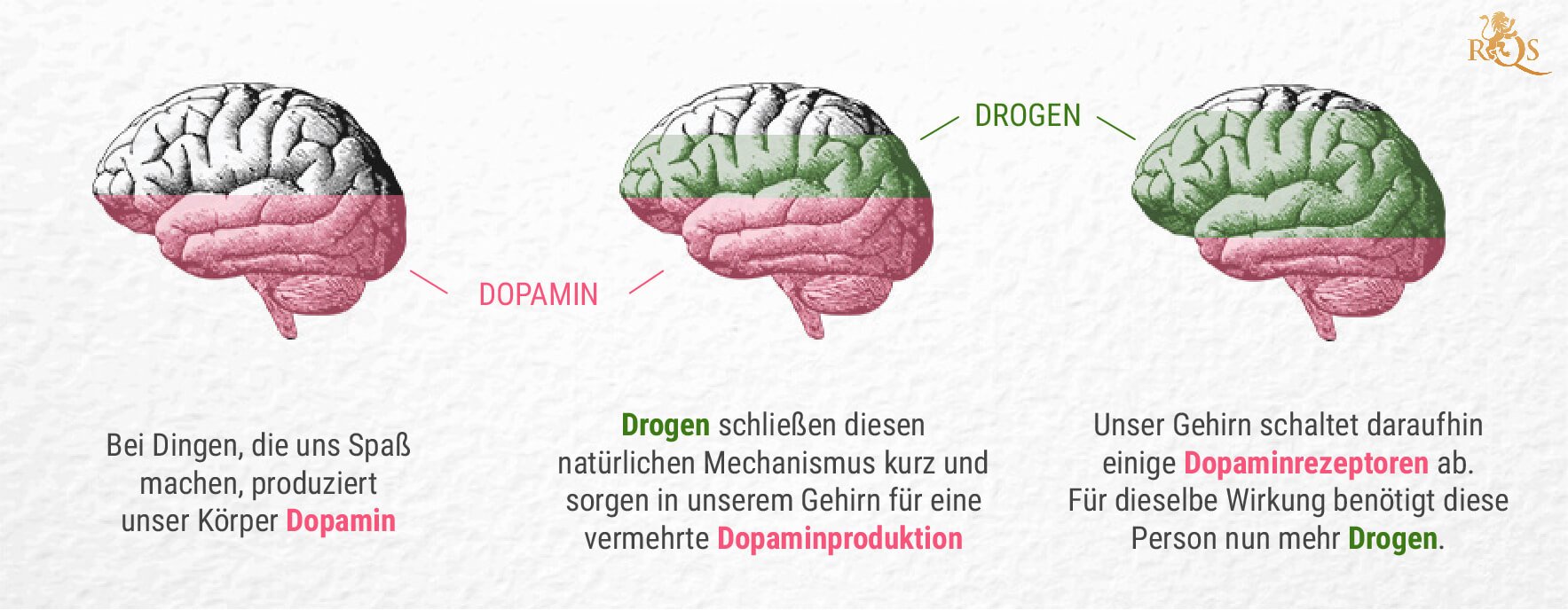 Was ist die Verbindung zwischen Cannabis und Dopamin?
