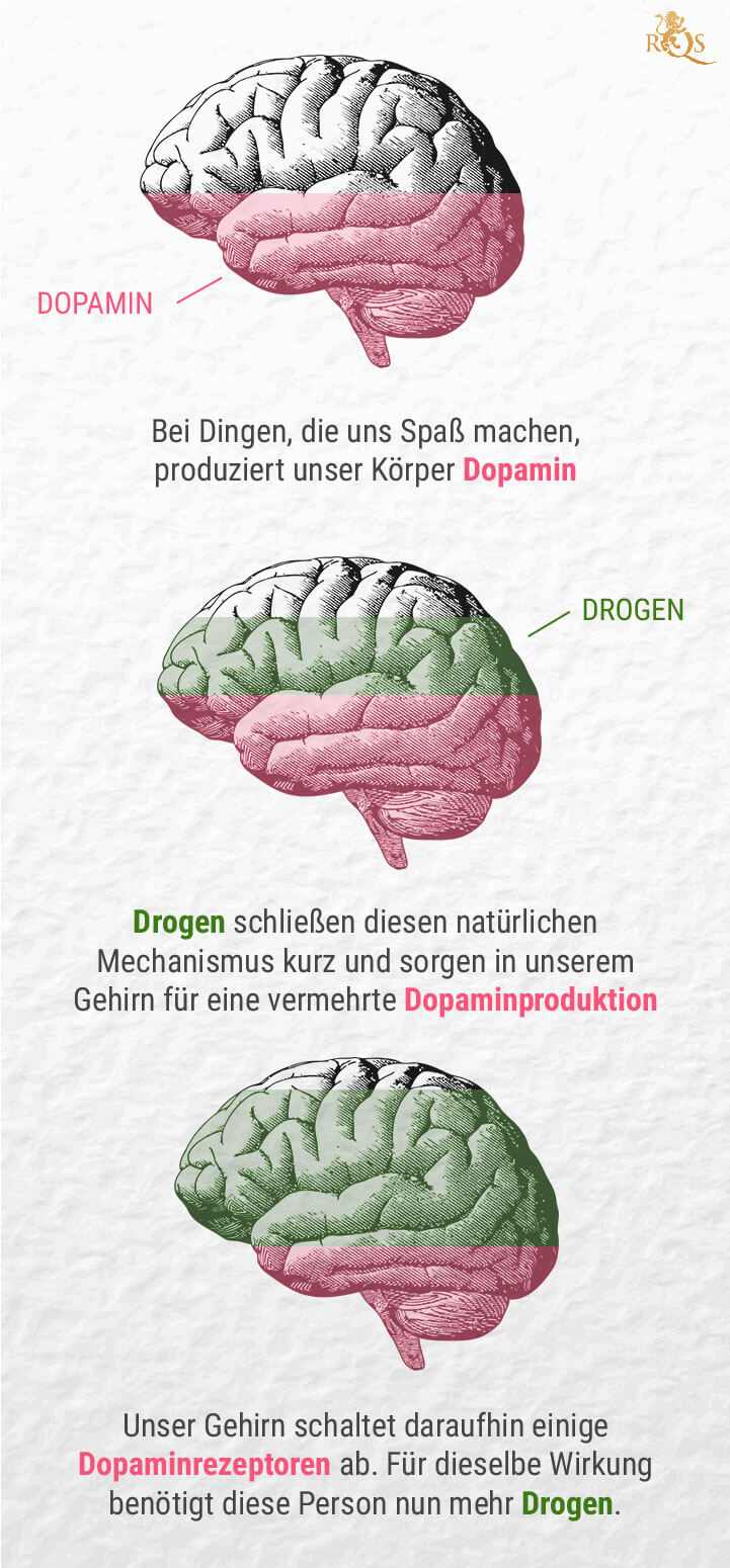 Was ist die Verbindung zwischen Cannabis und Dopamin?